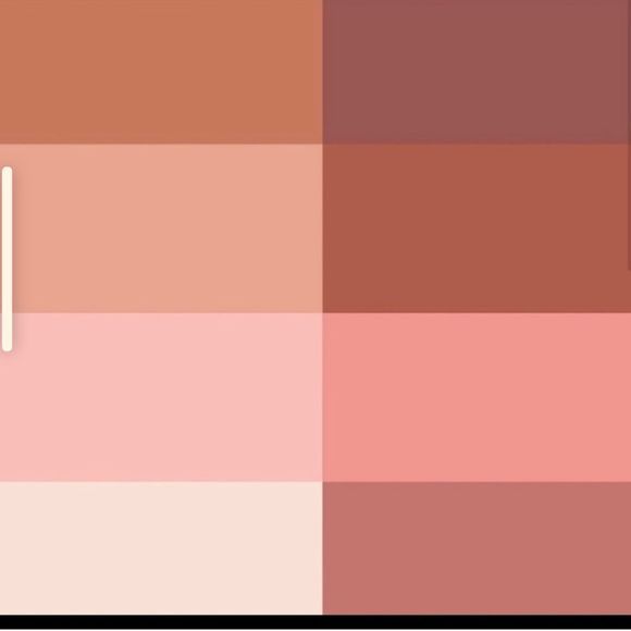 ESTEE LAUDER Neutral Pure Color Envy ShushuTong Palette - Picture 4 of 6